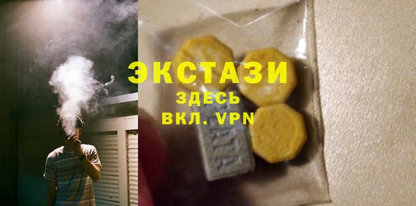 мдпв Ельня