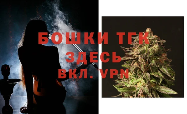 мдпв Ельня
