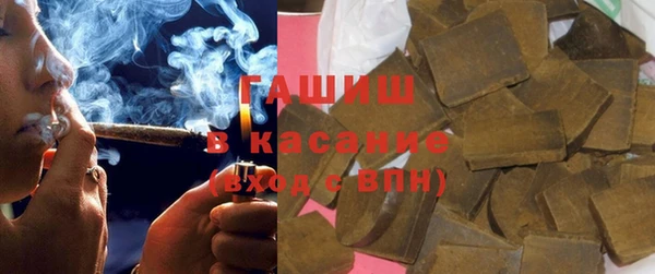 мдпв Ельня