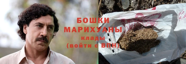 молекула духа Елизово