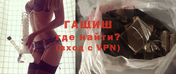 мдпв Ельня