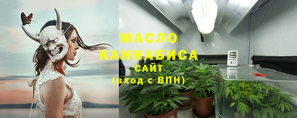 мдпв Ельня