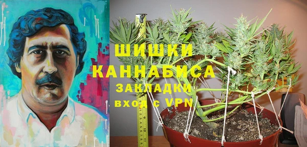 молекула духа Елизово