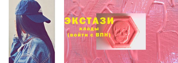 мдпв Ельня