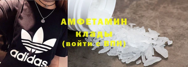 мдпв Ельня