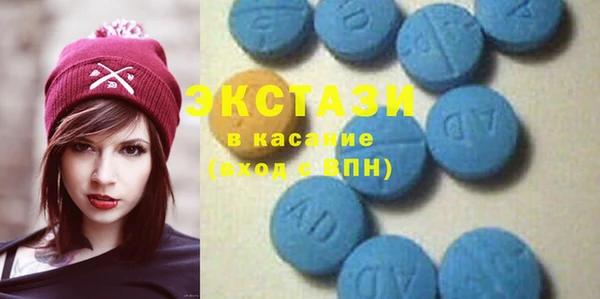 мдпв Ельня