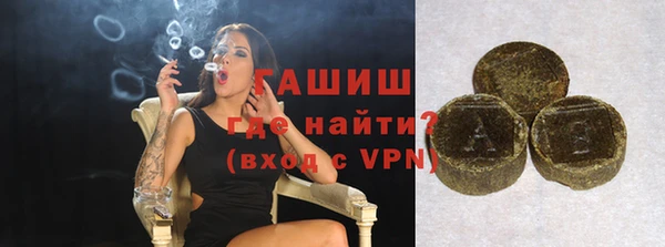 мдпв Ельня