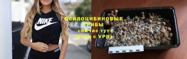 герыч Елабуга