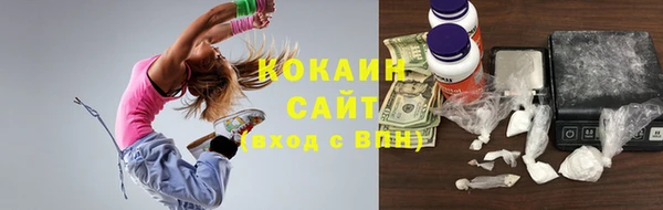 молекула духа Елизово