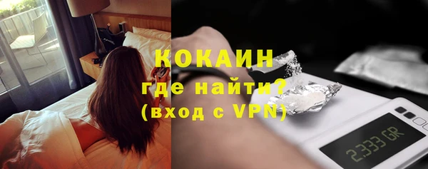 молекула духа Елизово