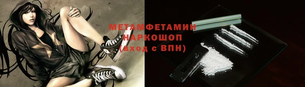мдпв Ельня