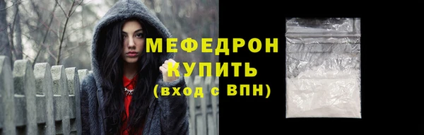 мдпв Ельня