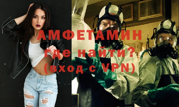 молекула духа Елизово
