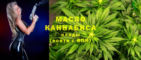 молекула духа Елизово