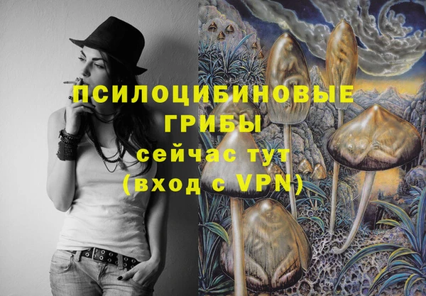 мдпв Ельня