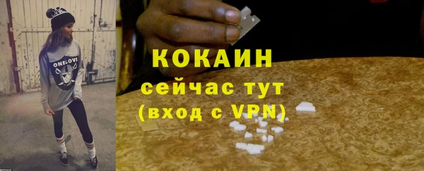 мдпв Ельня