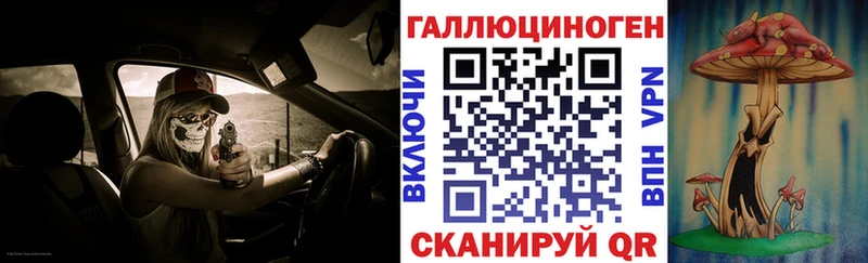 Купить закладки  Малгобек  Галлюциногенные грибы Psilocybine cubensis 